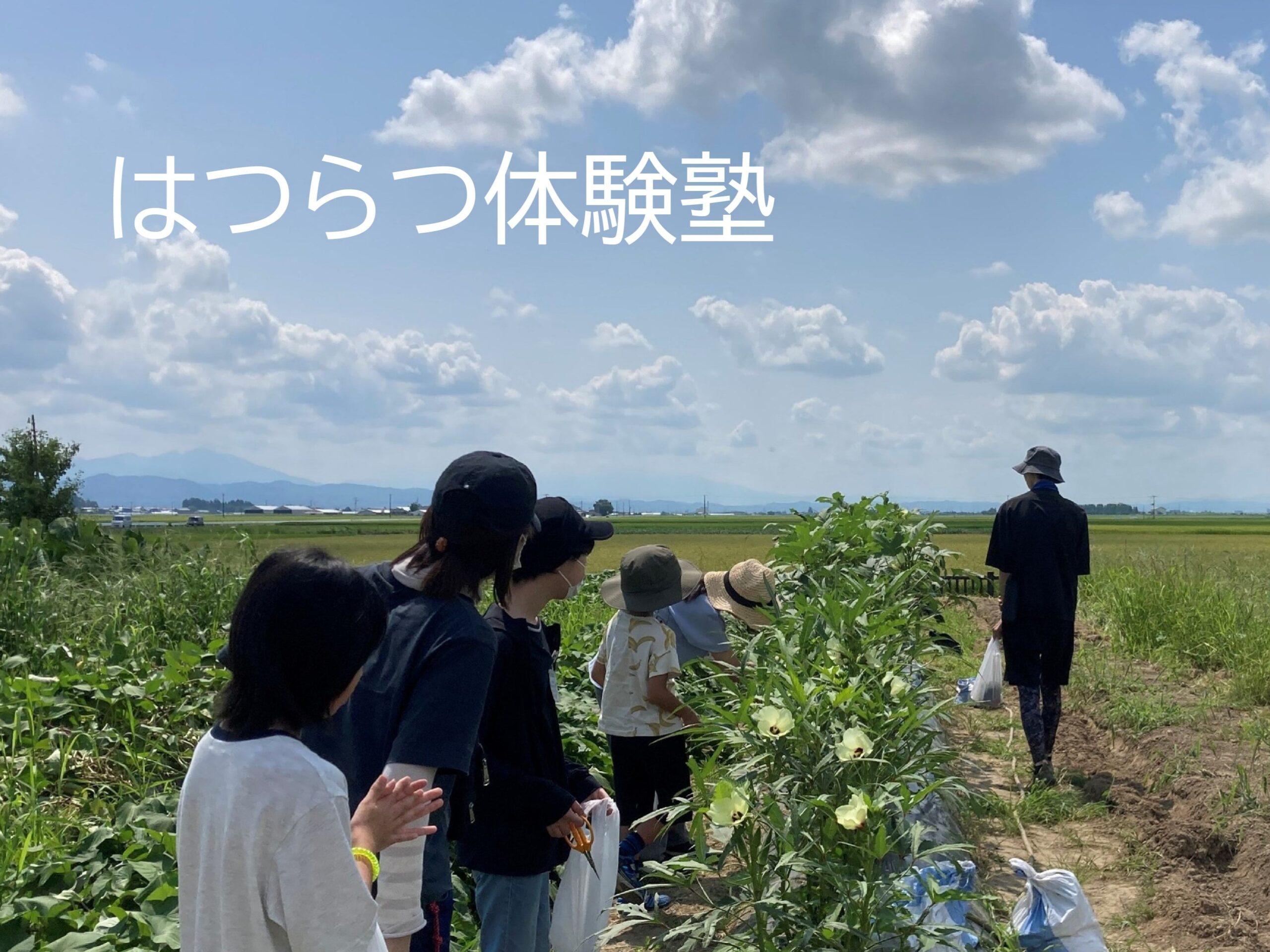 はつらつ体験塾